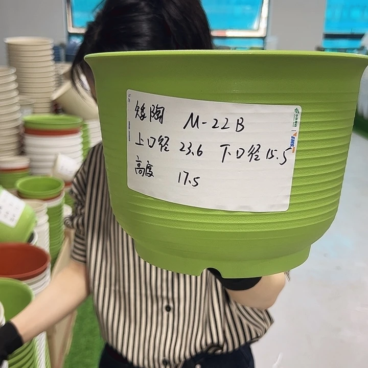 正品矮陶口24高17果绿无托6个