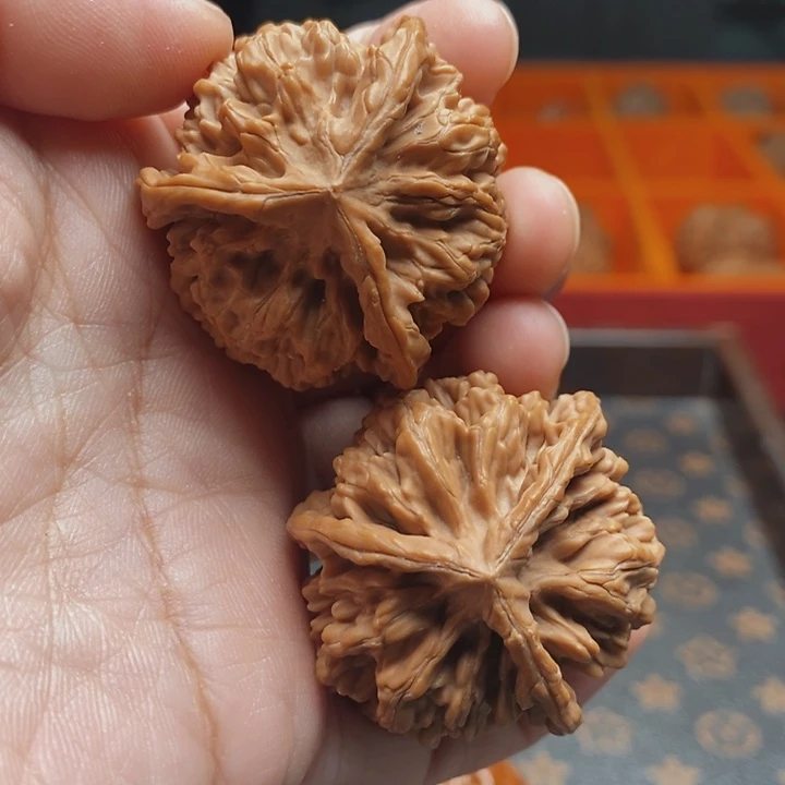 把件文玩核桃秦闷37尺