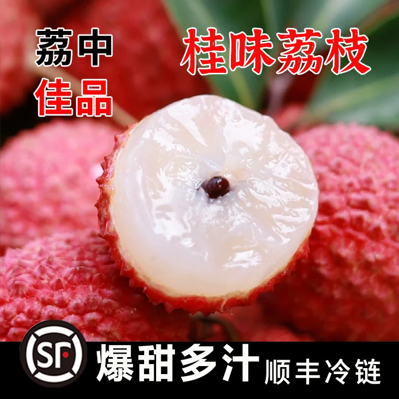 广东荔枝2025新鲜上市桂味荔枝纯甜无酸岭南老树现摘精品大果