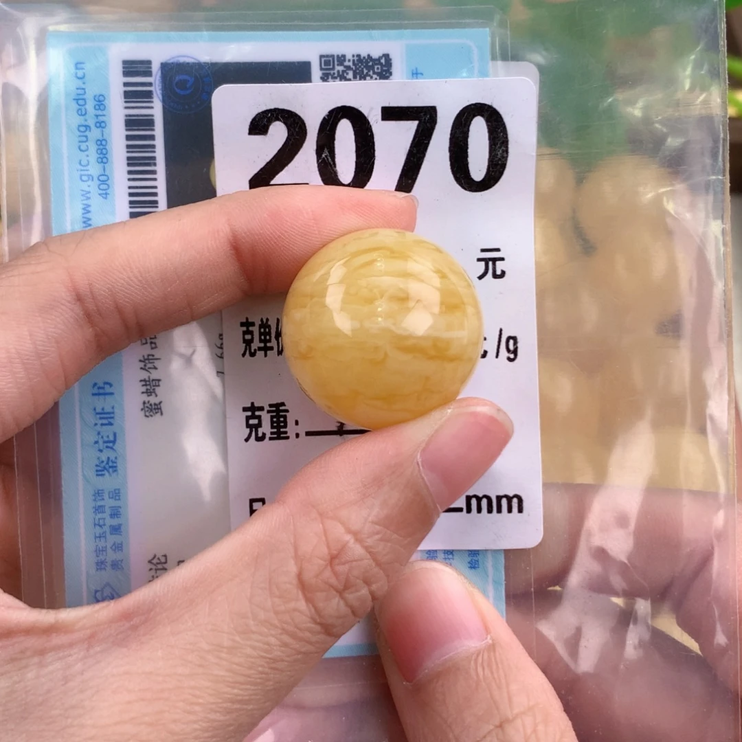 琥珀未镶嵌珠宝奇石24 植物