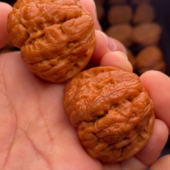 文玩核桃把件秦岭山脉核桃