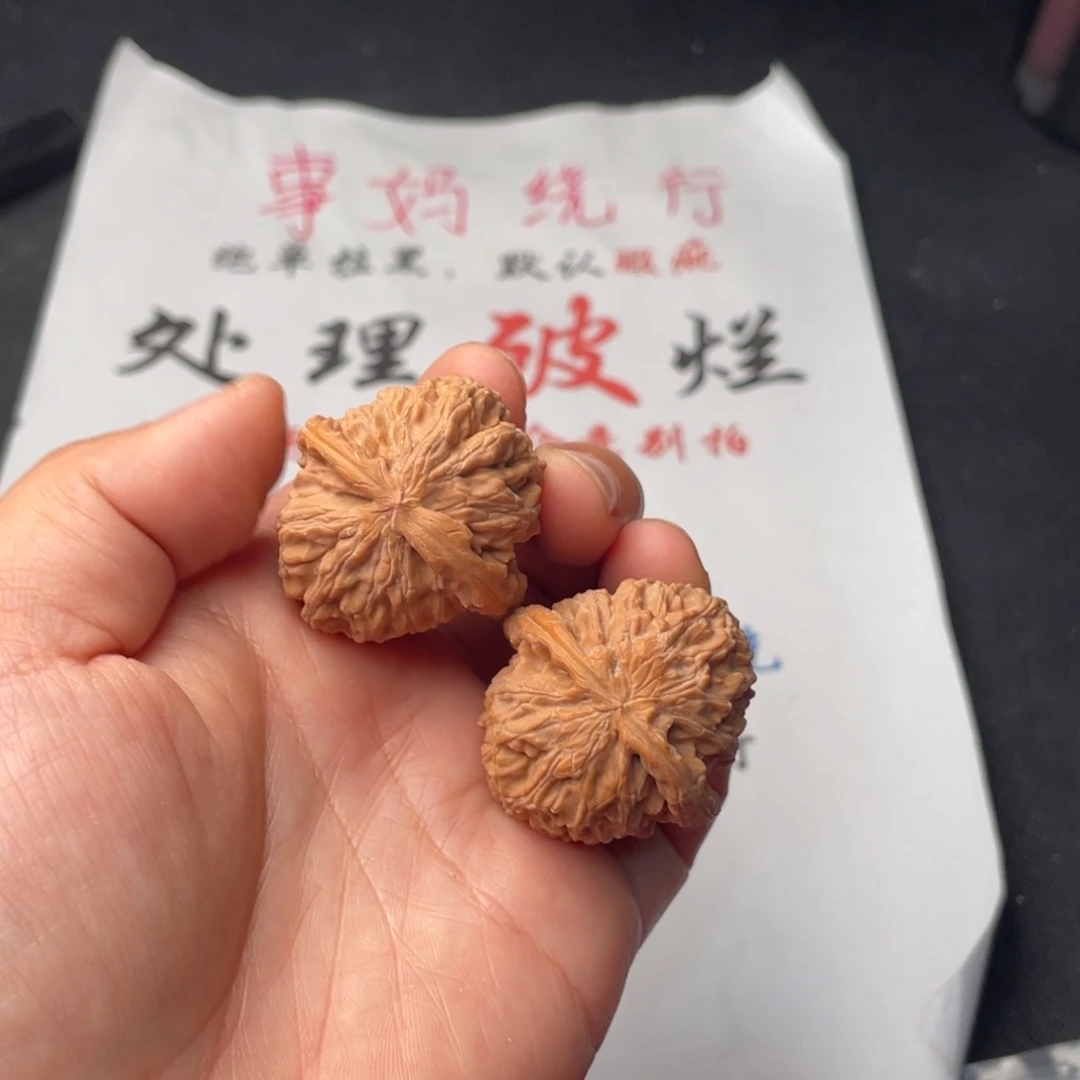 把件文玩核桃275。34白狮子