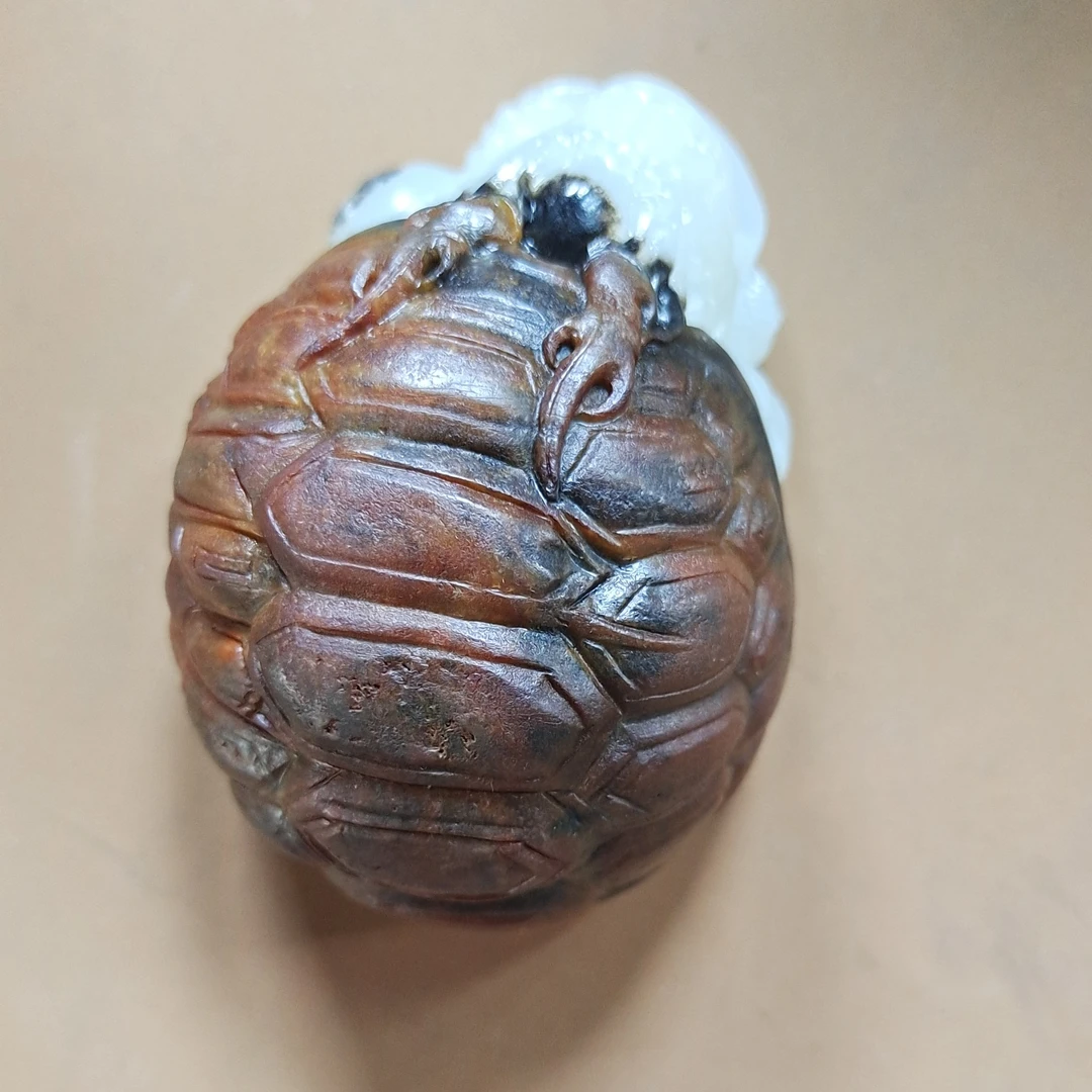 石包8.6X7多样性拍一发一