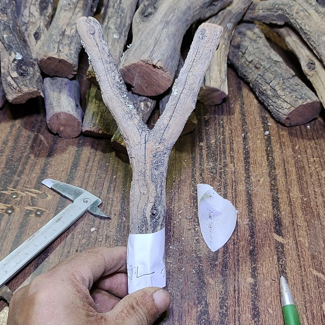 夹***行火琉璃原杈，不保沉水，慎拍！