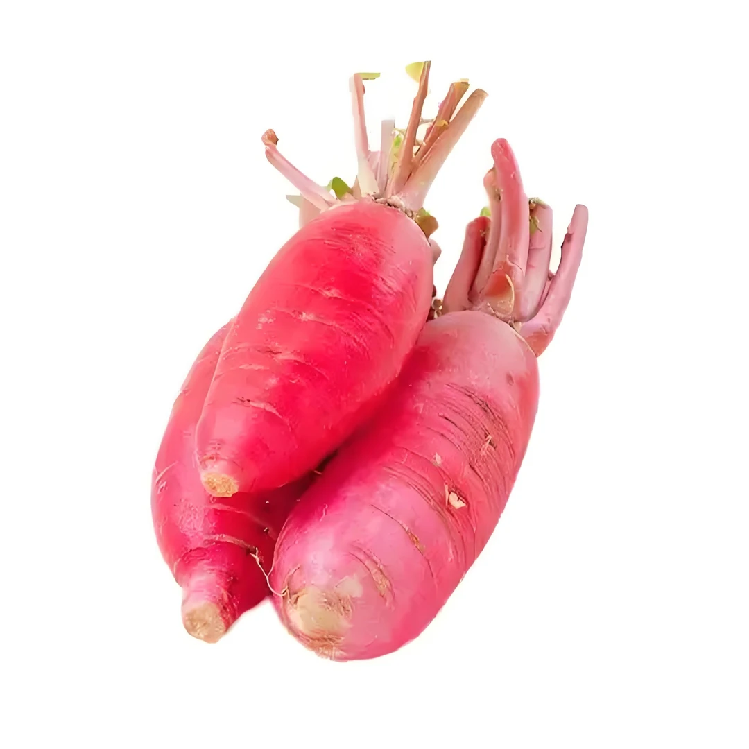 东北水萝卜新鲜水果萝卜红皮白芯批发价偶尔个别会有空心介意勿拍