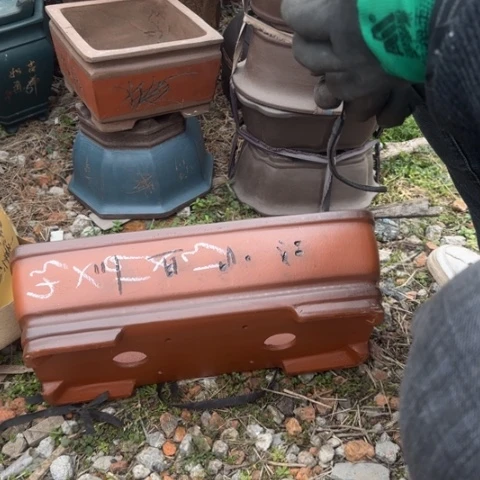 紫砂花盆紫砂花盆盆景盆栽