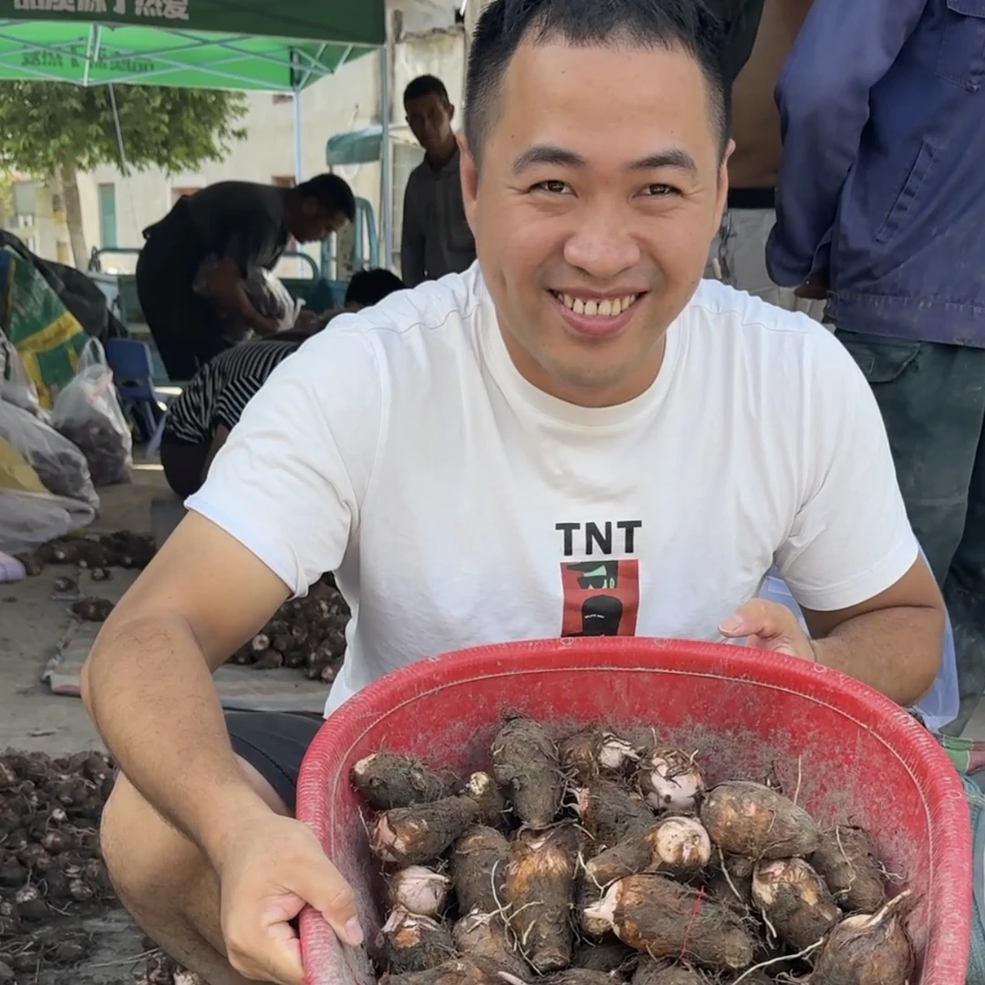 新鲜现挖福安红芽芋头粉糯细腻产地直发可做菜的蔬菜水果芋头