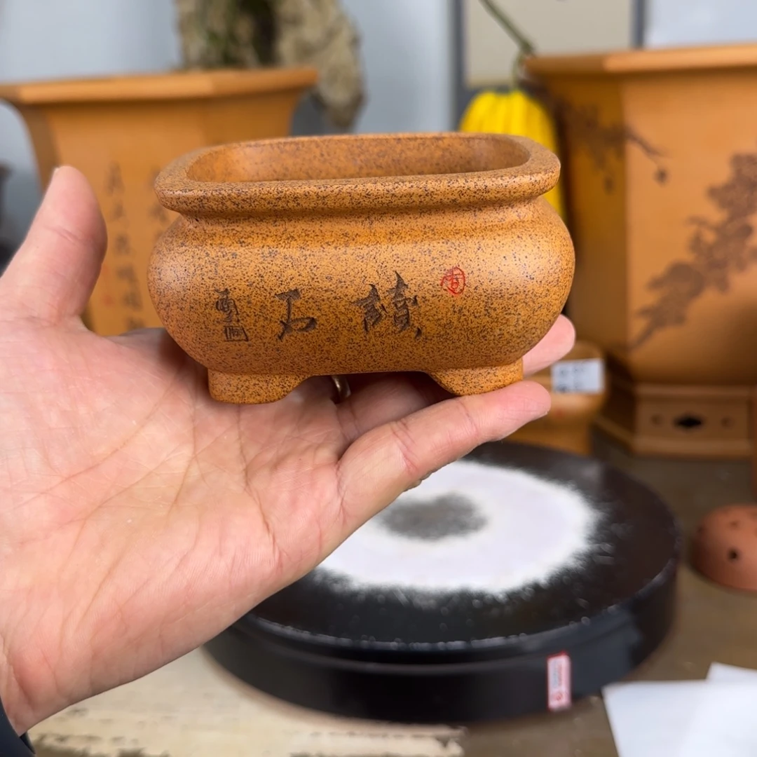 紫砂花盆紫砂花盆