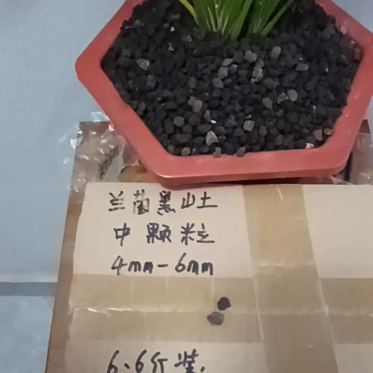 唯***一兰菌黑山土中颗粒6.6斤