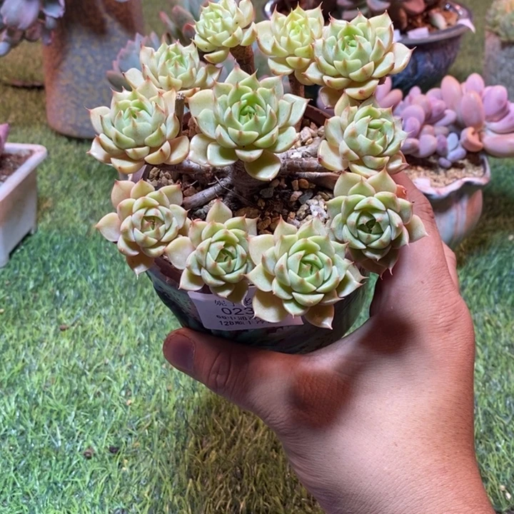 0238啊啊啊啊啊啊啊啊啊啊