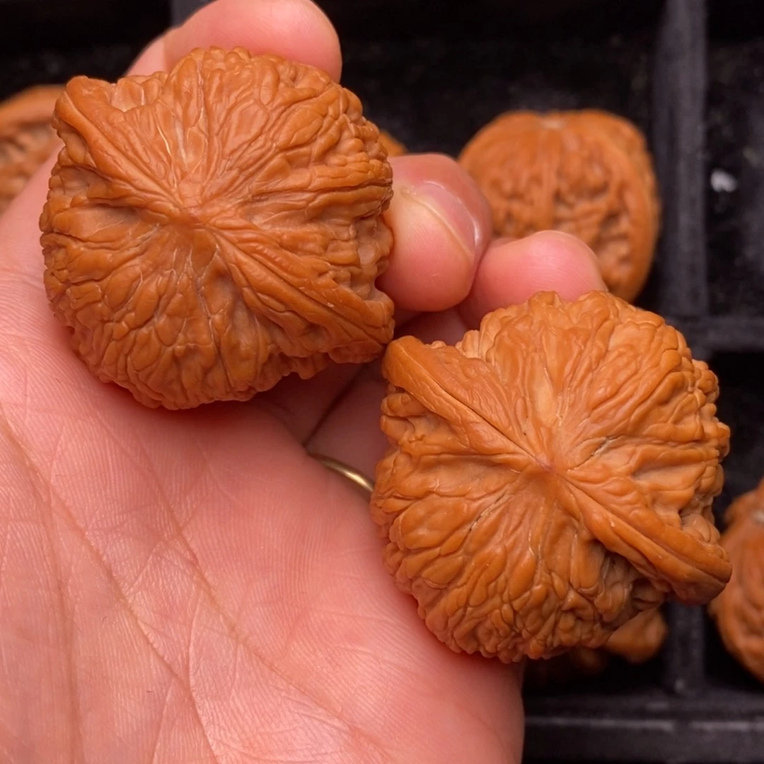 把件文玩核桃秦岭野生植物资源