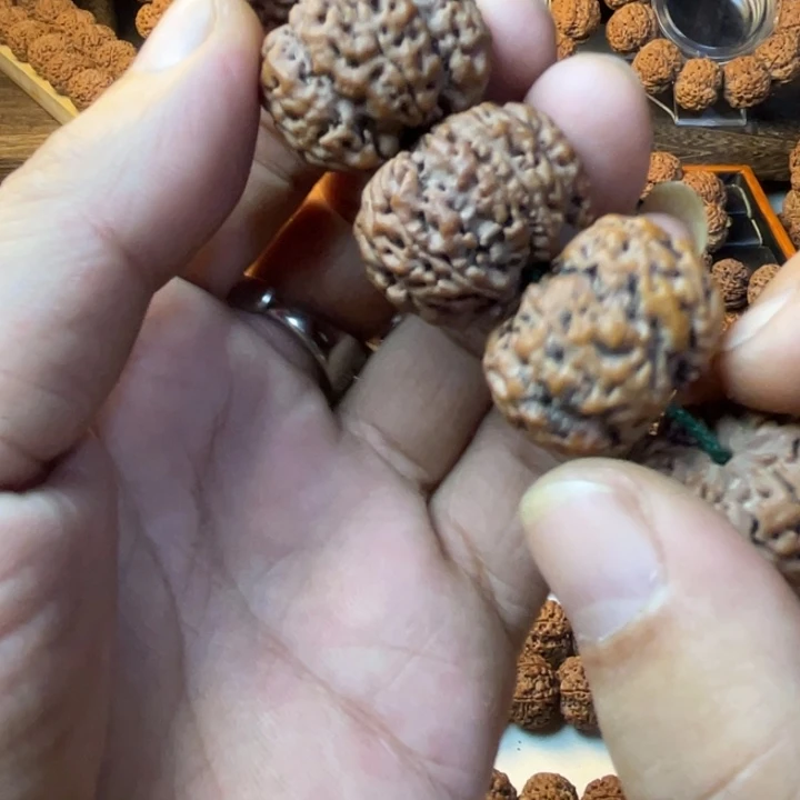 手串金刚菩提平头豆腐块