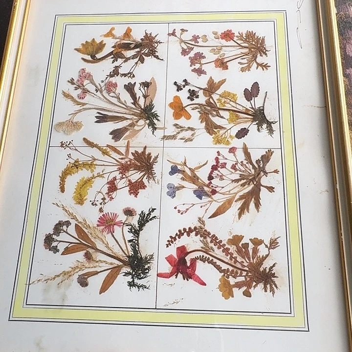 有***友中古框画有瑕疵破损已拍