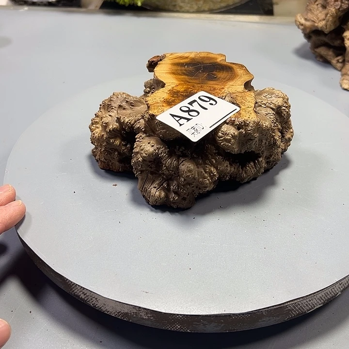 洋****大果紫檀（缅甸花梨）