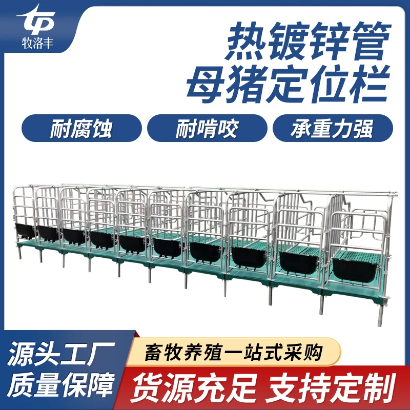 牧洛丰母猪定位栏限位栏5/10猪位带漏粪板热镀锌加厚养猪母猪产床
