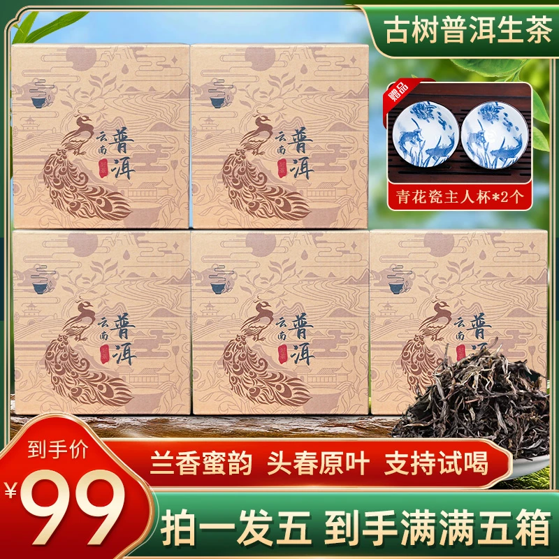【春茶季】2025年云南古树普洱生茶 头春采摘 回甘持久送杯子 包邮