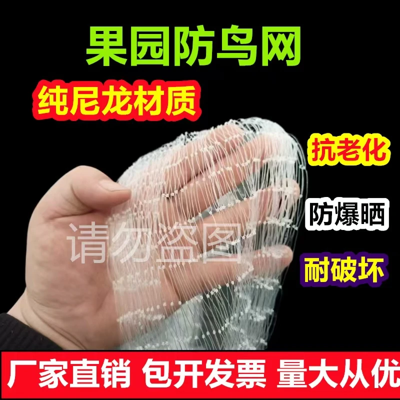 果园防鸟网果树防鸟丝网尼龙葡萄樱桃大棚果园用网农用防晒网罩