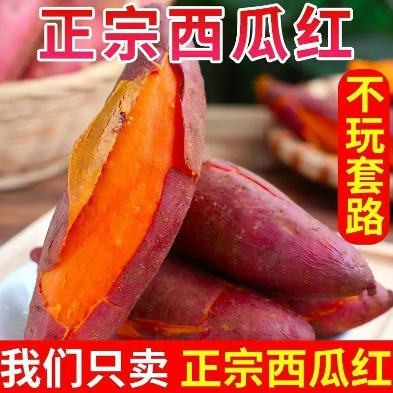 正宗蜜薯2025年刚出土正宗的西瓜红红心红薯新鲜产地批发的红蜜薯