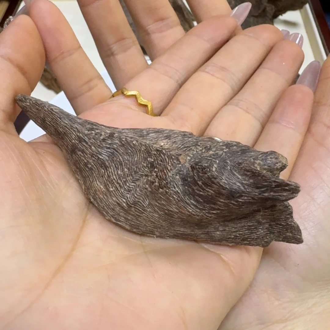 沉香碎屑沉香有****崔海南沉香留疤8.8克