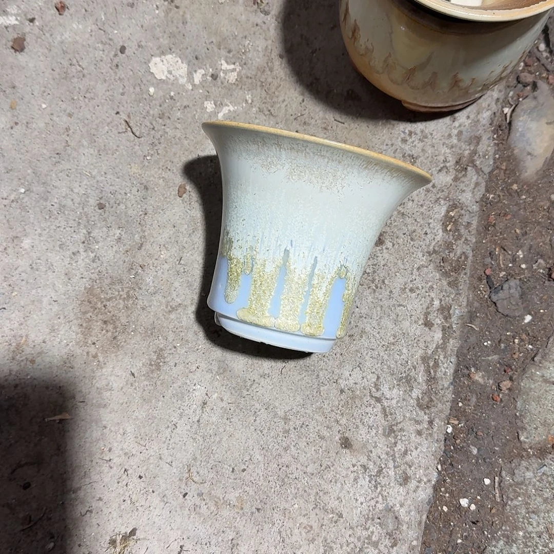 黄霜花万象多肉精品