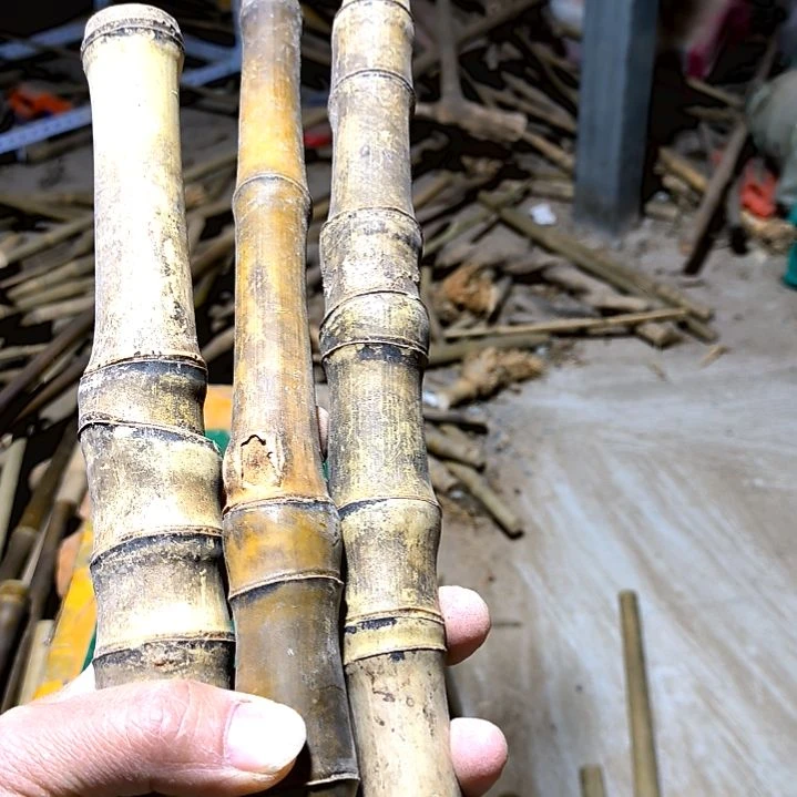 林**堂实心玉竹毛料手持虫磕