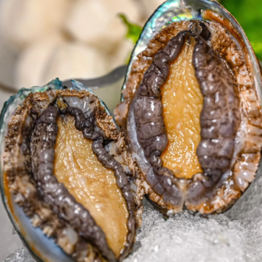 鲜活高盐鲍鱼（16-17头左右）