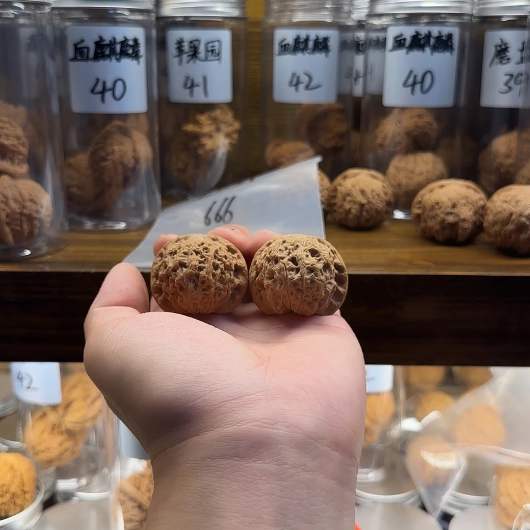 木L**T血麒麟40尺寸全品无修