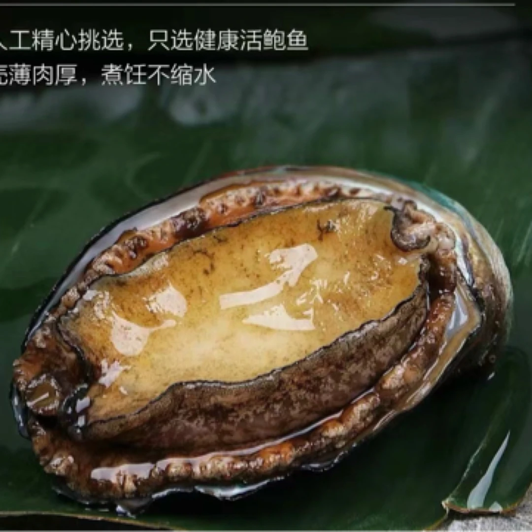 5头鲍鱼 14元一只