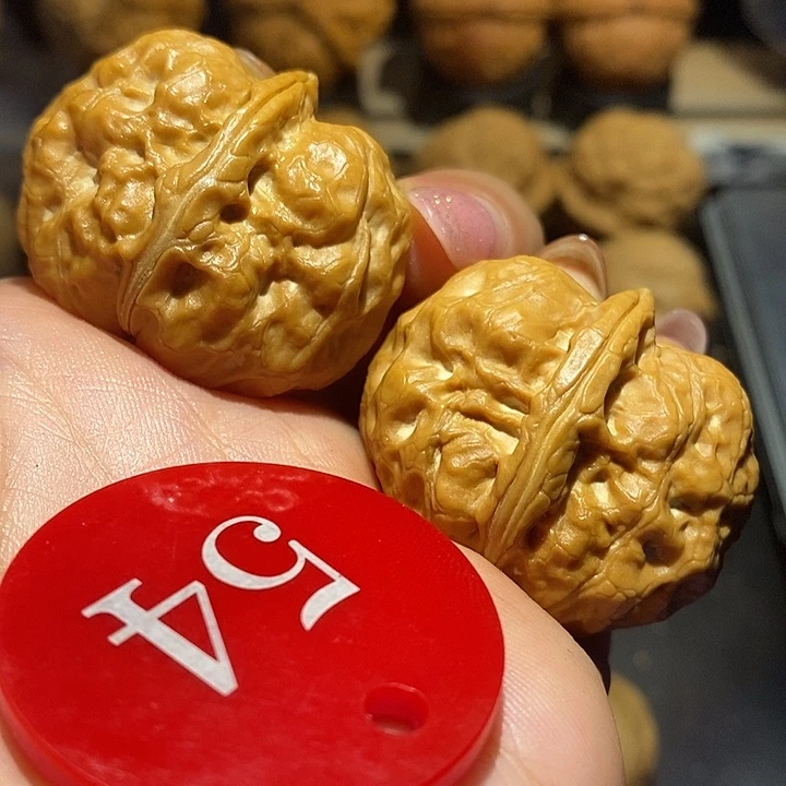 核桃元宝蛙蛙尺寸36