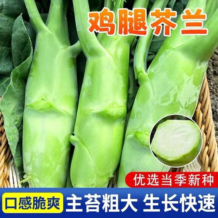 【满5包包邮】甜脆鸡腿芥蓝种子粗条籽芥兰广东四季菜籽大菜秋季蔬