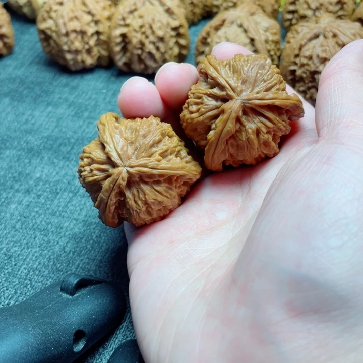 高***哥手工三棱白狮子三棱