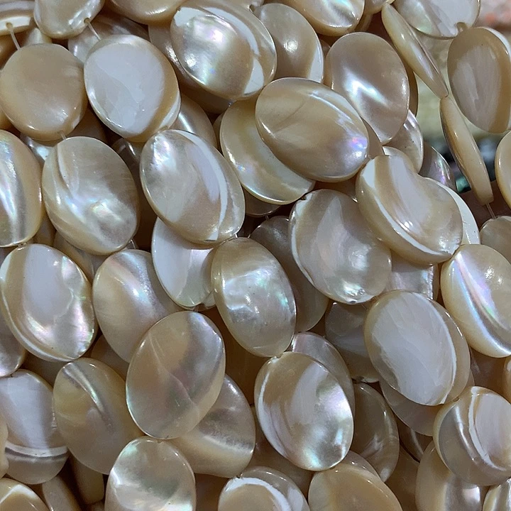 一条咖色马蹄螺蛋形