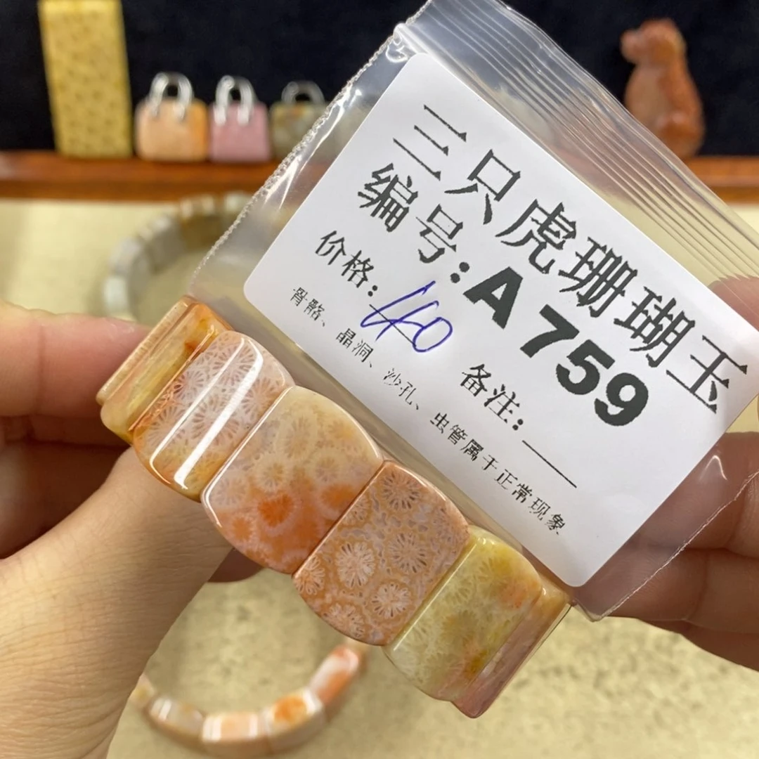 硅化珊瑚（珊瑚玉）1未镶嵌科*娜