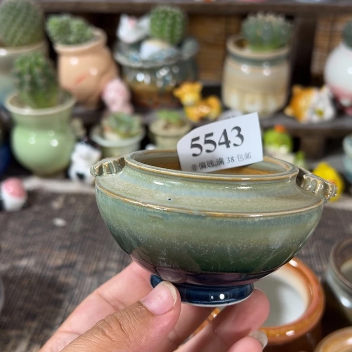 口6 手工花盆满30包邮