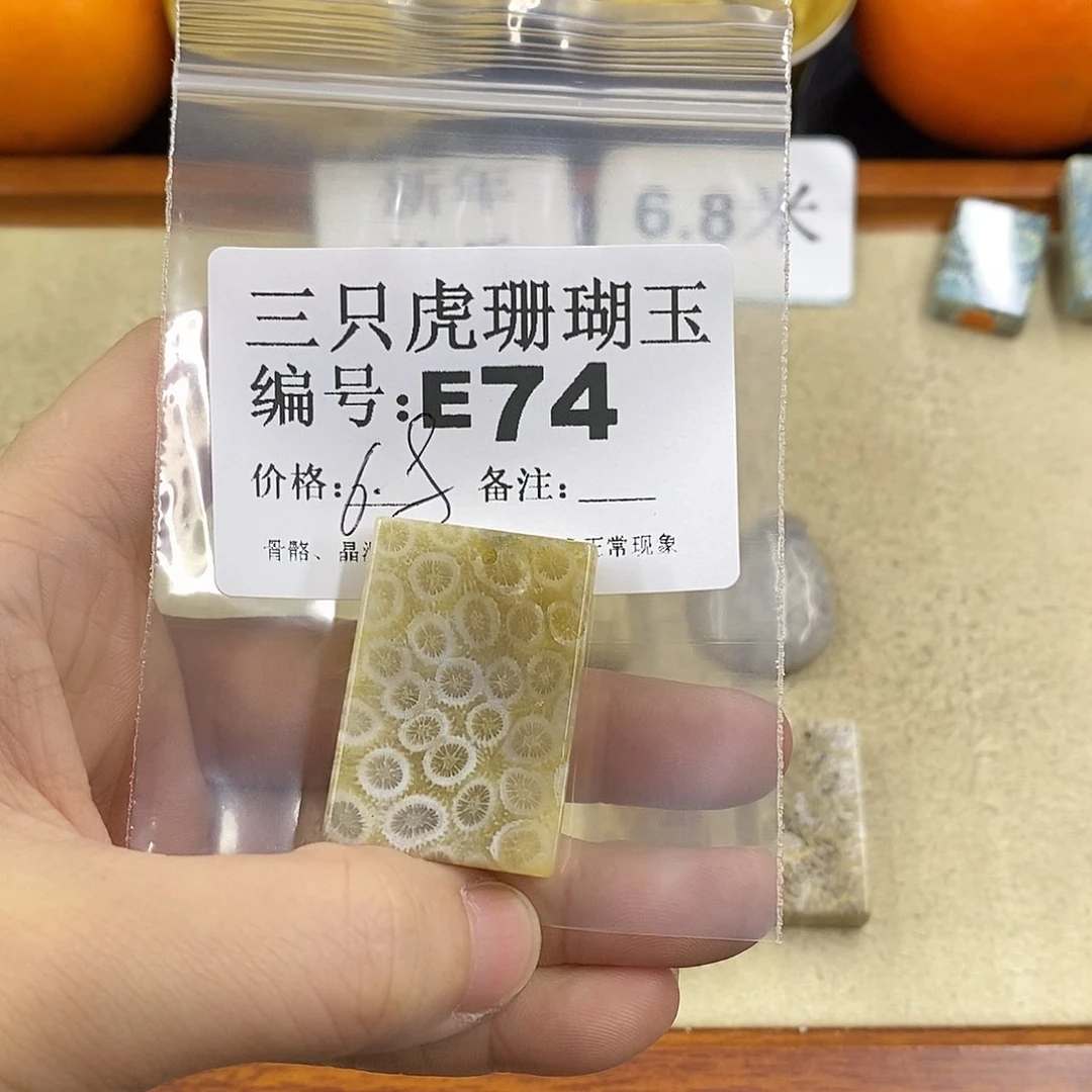硅化珊瑚（珊瑚玉）1未镶嵌散***奇