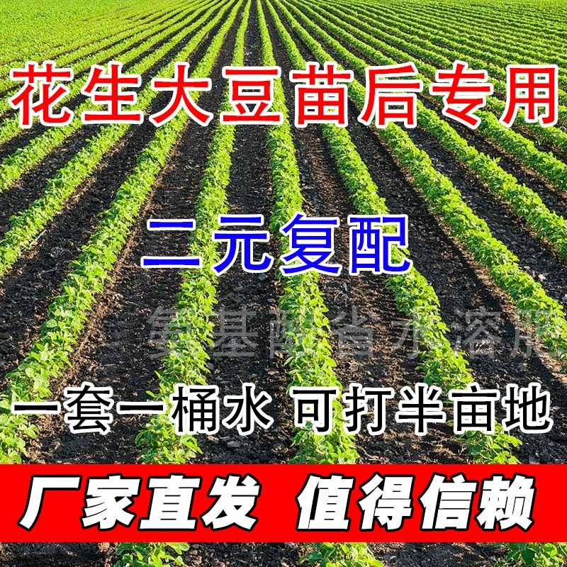 大豆苗后通用厂家直销花生大豆苗后专用禾阔双打叶面肥腐殖酸