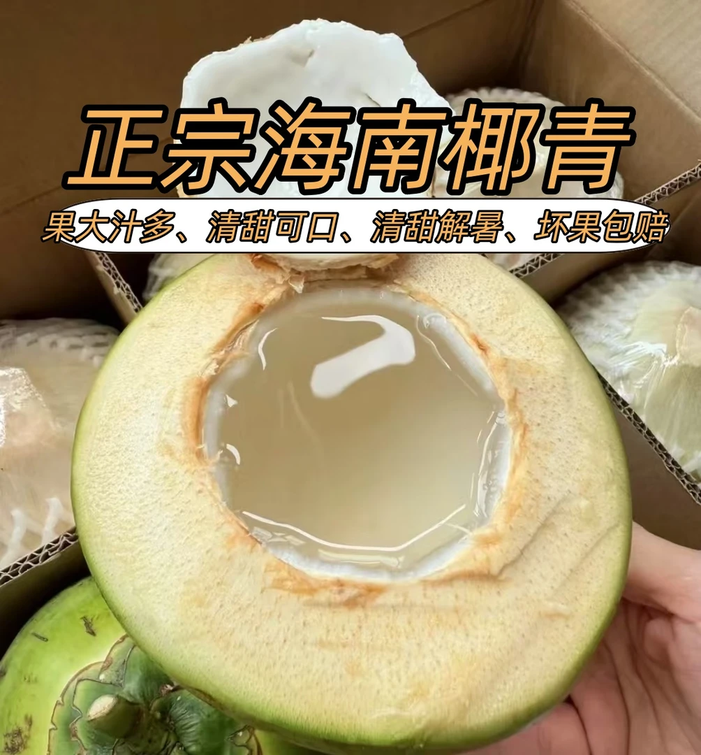 海南新鲜椰青孕妇水果精选大果夏日清甜送开椰器吸管去皮椰子带皮