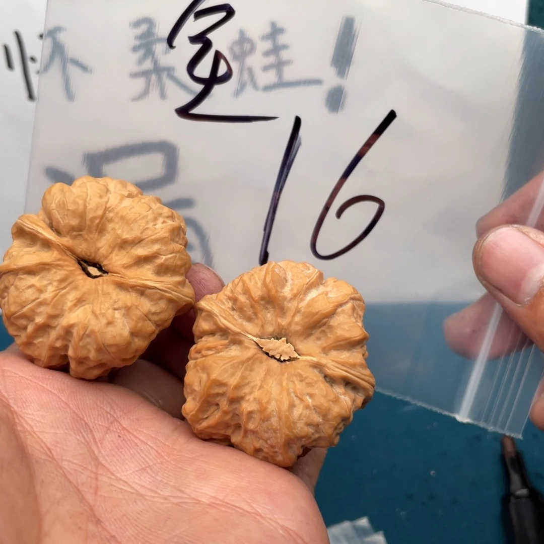 核桃手串/手链735573573537573753