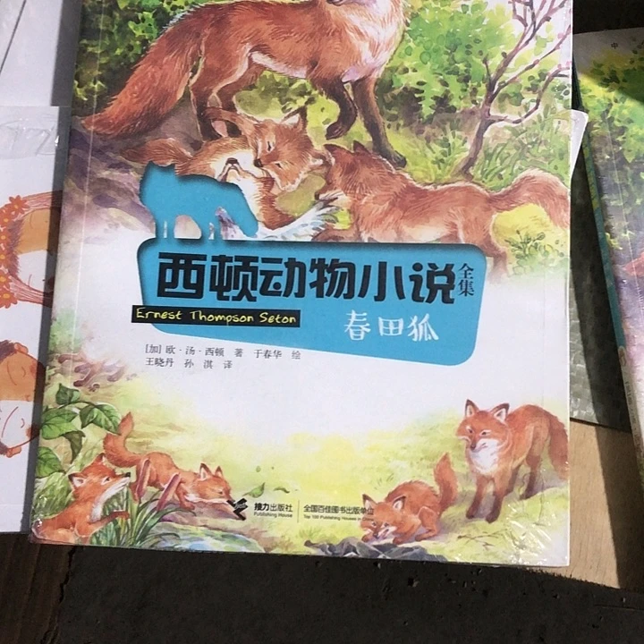 西顿动物少年与山猫