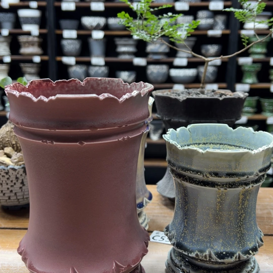 S***T素八九陶瓷三个一起三个