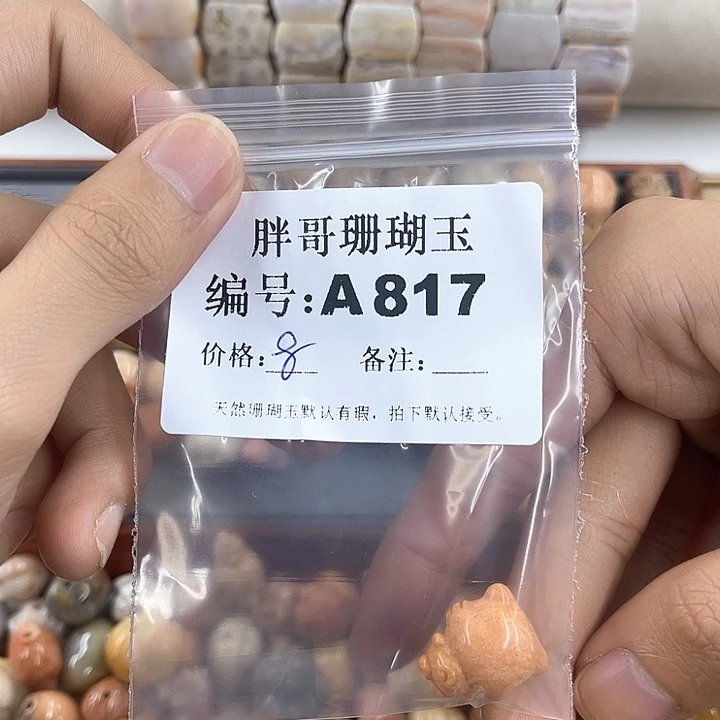 硅化玉颈饰未镶嵌?**u