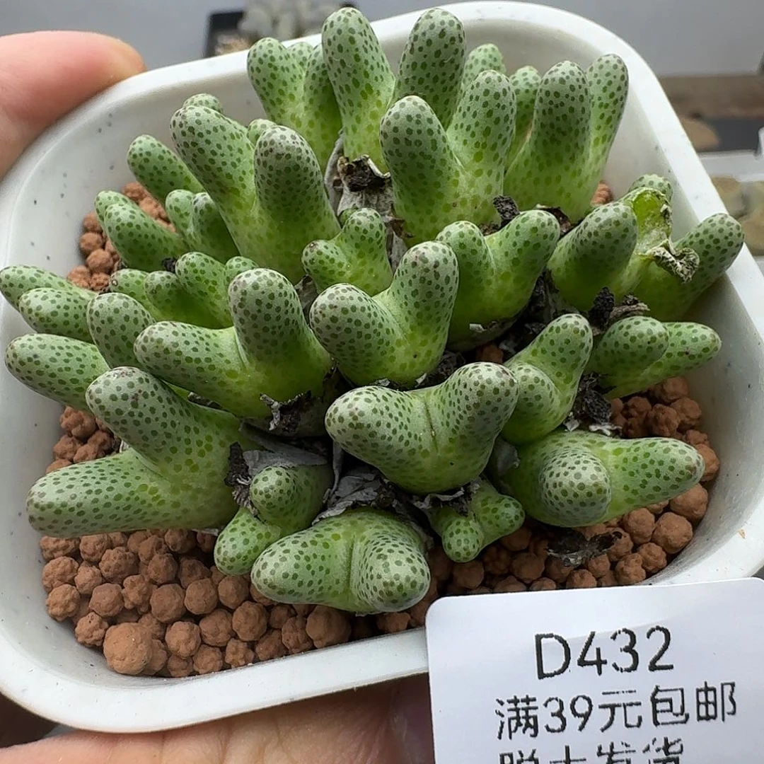 432脱土发哈哈哈哈哈哈哈哈哈哈