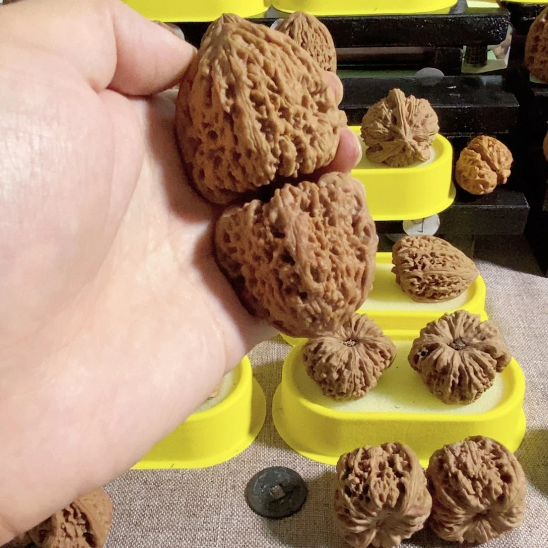 木质类一代红三角