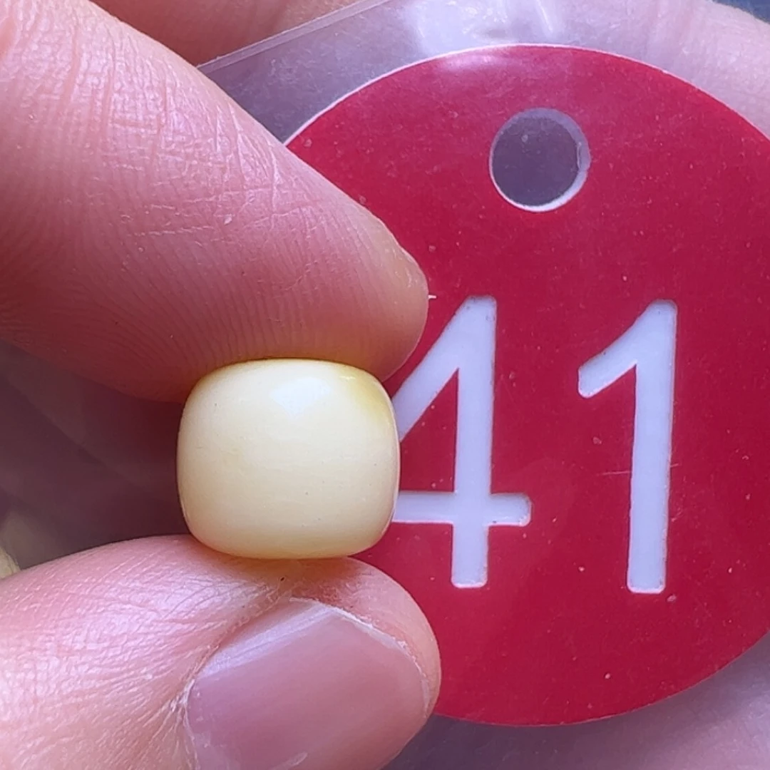 蜜蜡未镶嵌珠宝奇石9.5m m