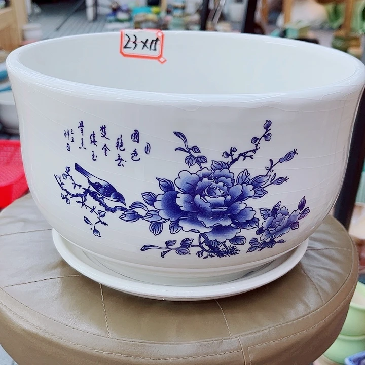 多肉植物陶瓷花盆
