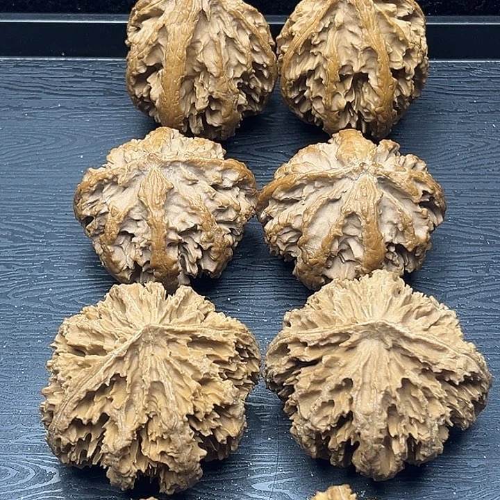 木质类秦岭突突突突突突突