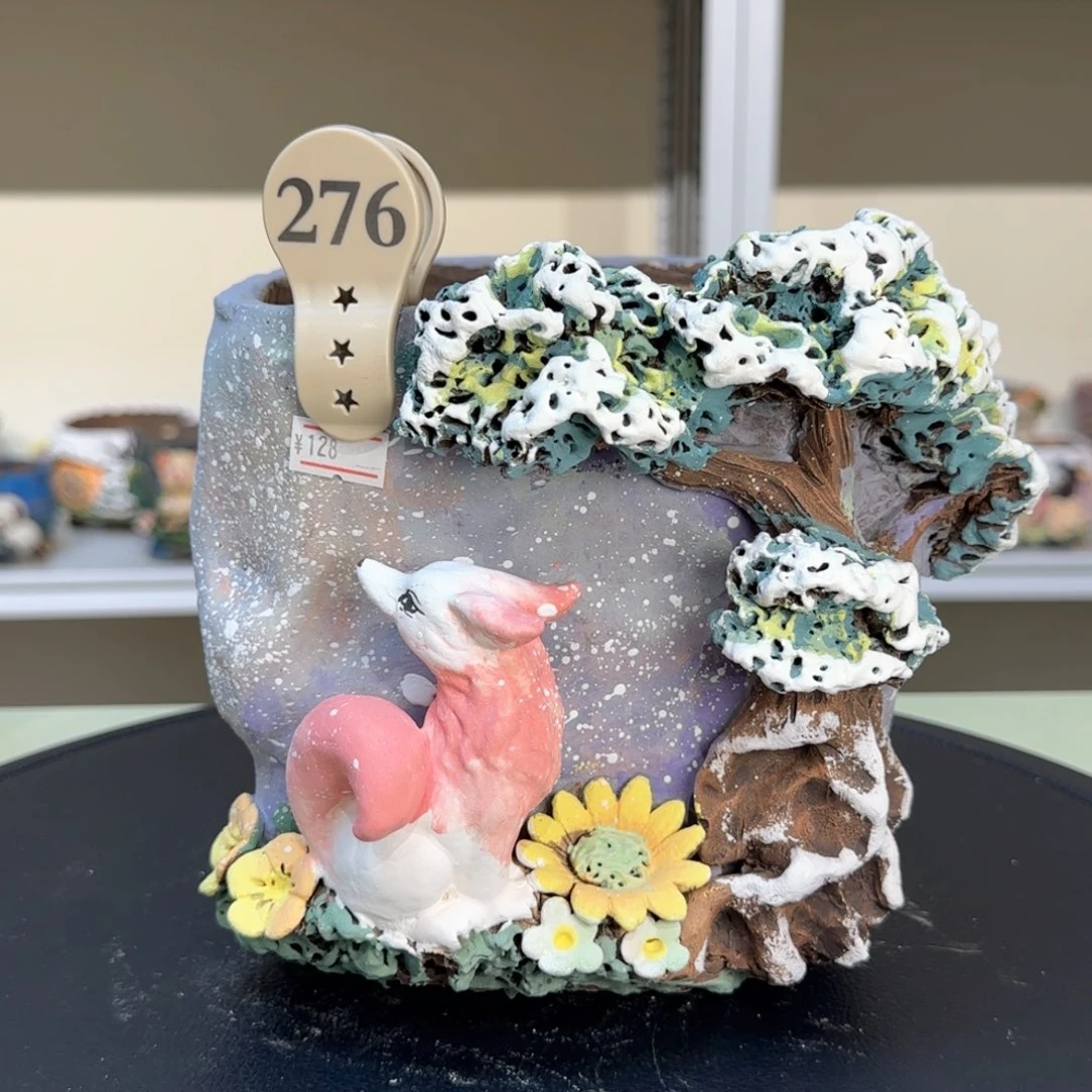 276 【闪购】多肉花盆