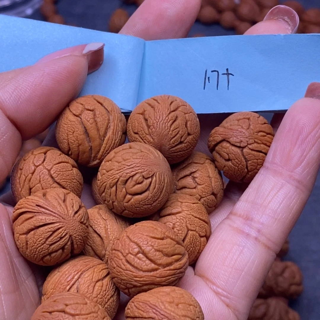 秦岭龙纹桃核14颗