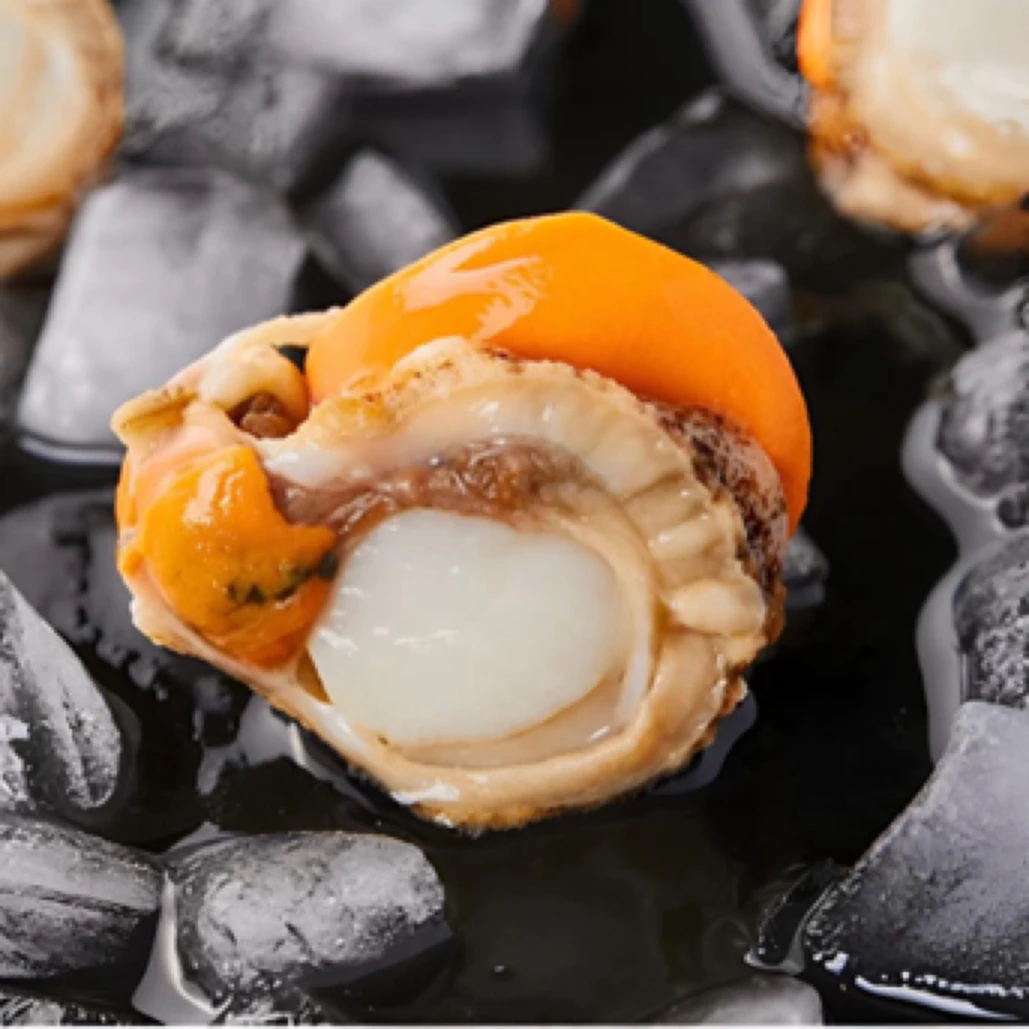 【小玉专属】烟台新鲜熟冻带膏带黄扇贝肉无泥沙每包200/g顺丰包邮