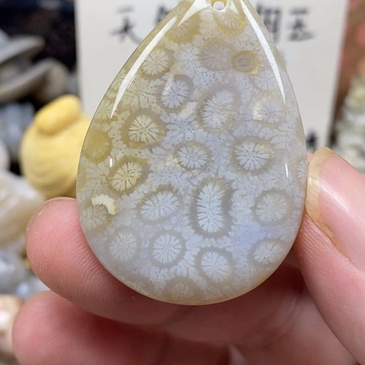 硅化珊瑚（珊瑚玉）未镶嵌颈饰